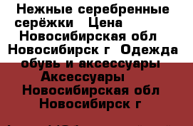 Нежные серебренные серёжки › Цена ­ 1 000 - Новосибирская обл., Новосибирск г. Одежда, обувь и аксессуары » Аксессуары   . Новосибирская обл.,Новосибирск г.